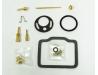 Carburettor repair kit for one carb.